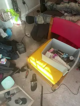 torilux online show from January 23, 2025, 1:56 pm