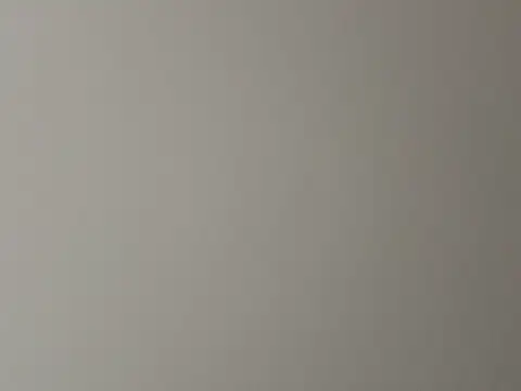 torilux online show from January 7, 2025, 3:12 pm