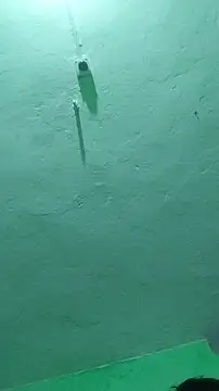 Snapshot of RADHAHO chatting on October 9, 2025, 7:25 pm RADHAHO online show from October 9, 2025, 7:25 pm