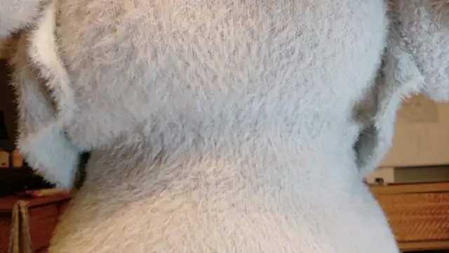 Snapshot of _Yui_ chatting on October 18, 2025, 2:08 pm  Yui  online show from October 18, 2025, 2:08 pm