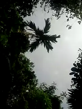 kumaricapalsex2 online show from January 26, 2025, 5:34 am