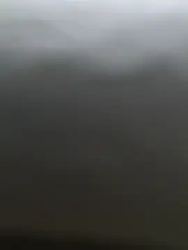 Snapshot of DaanLukaas chatting on February 15, 2025, 8:12 pm DaanLukaas online show from February 15, 2025, 8:12 pm