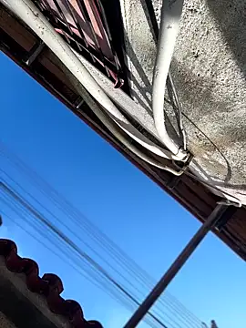 Leo bunny hot online show from February 13, 2026, 8:20 pm