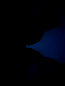 Snapshot of Germaney chatting on February 25, 2025, 2:36 am Germaney online show from February 25, 2025, 2:36 am