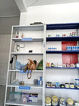 Megan jennerr online show from September 28, 2025, 2:35 pm