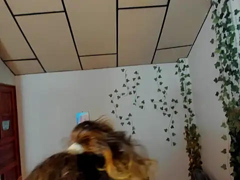 Snapshot of fulfill_fantasies1 chatting on February 17, 2026, 12:57 pm fulfill fantasies1 online show from February 17, 2026, 12:57 pm