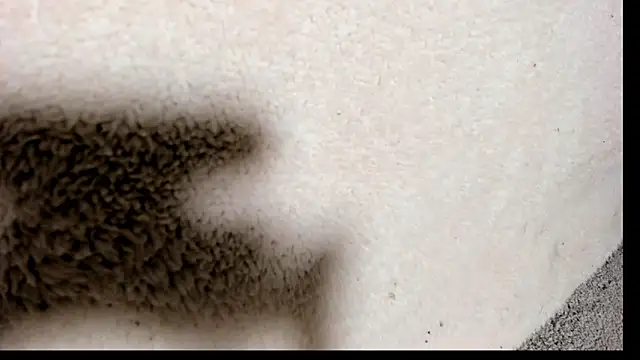 Brock hurn1 online show from September 15, 2025, 2:01 am