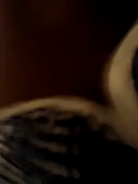 Crazybitchtheanalgoddess4 online show from March 20, 2026, 7:04 pm