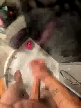 Snapshot of lescro95_ chatting on October 4, 2025, 5:47 pm lescro95  online show from October 4, 2025, 5:47 pm