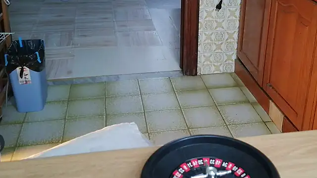 Snapshot of VeneRed chatting on October 29, 2025, 9:08 am VeneRed online show from October 29, 2025, 9:08 am