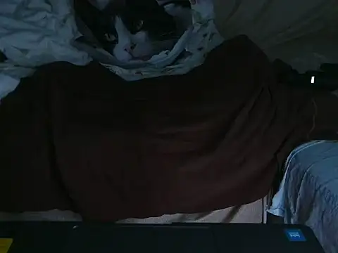 Snapshot of VeneRed chatting on October 4, 2025, 9:16 pm VeneRed online show from October 4, 2025, 9:16 pm