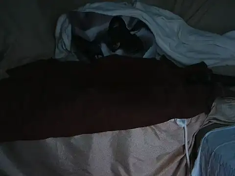 Snapshot of VeneRed chatting on October 1, 2025, 6:45 pm VeneRed online show from October 1, 2025, 6:45 pm