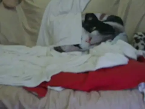 Snapshot of VeneRed chatting on October 17, 2025, 3:58 pm VeneRed online show from October 17, 2025, 3:58 pm