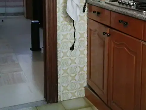 Snapshot of VeneRed chatting on October 14, 2025, 8:15 am VeneRed online show from October 14, 2025, 8:15 am