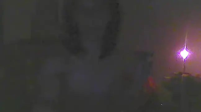 Just Gabriella online show from March 19, 2025, 10:33 am