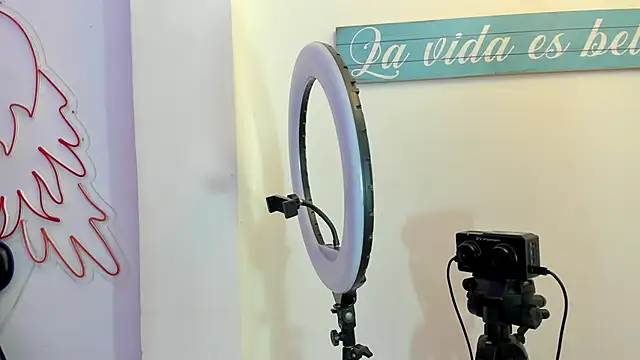 Snapshot of AmberBee chatting on December 28, 2024, 1:29 am AmberBee online show from December 28, 2024, 1:29 am