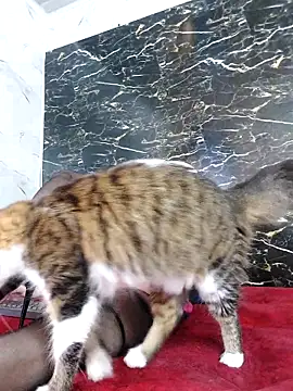 Snapshot of crislingery_dolli chatting on October 12, 2025, 1:45 pm crislingery dolli online show from October 12, 2025, 1:45 pm