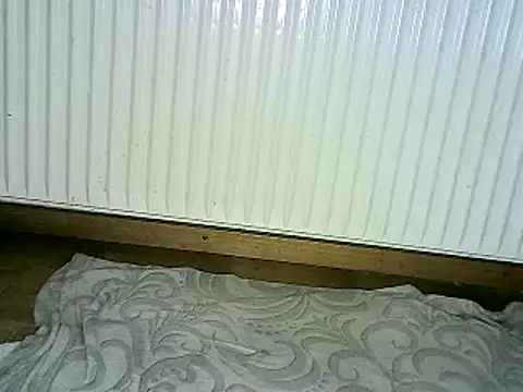 Snapshot of yola181 chatting on February 10, 2025, 9:47 am yola181 online show from February 10, 2025, 9:47 am