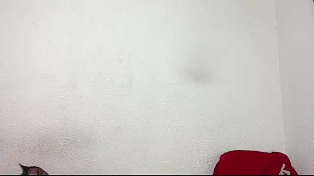 logan x3 online show from March 31, 2026, 4:14 am