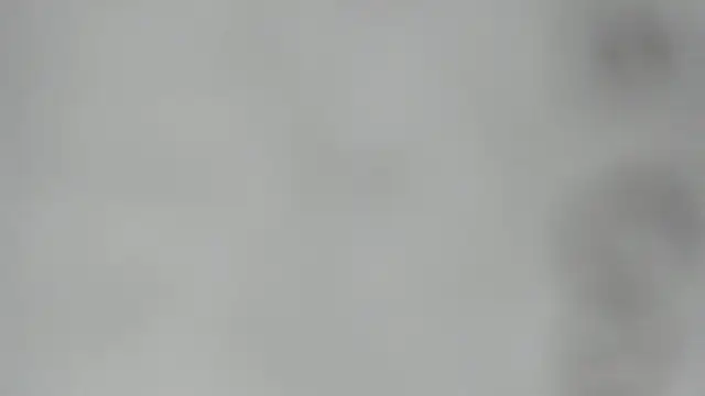 elis gabbi online show from February 28, 2026, 2:44 am