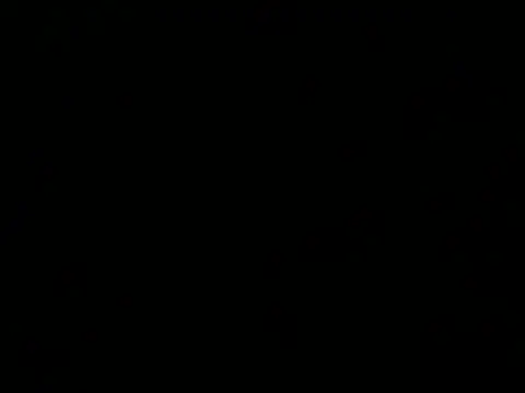 Snapshot of culalimer chatting on September 9, 2025, 7:51 am culalimer online show from September 9, 2025, 7:51 am