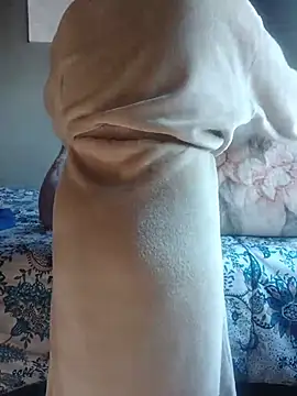 SWEETCLITYxxx online show from July 9, 2026, 9:43 am