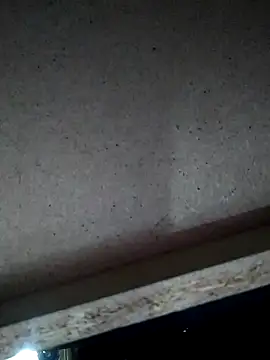 Leocesar37 online show from November 15, 2025, 4:49 am