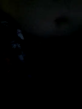 Leocesar37 online show from December 19, 2025, 3:03 pm