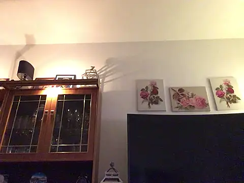 Snapshot of Hannaforyou2 chatting on December 28, 2024, 1:59 pm Hannaforyou2 online show from December 28, 2024, 1:59 pm