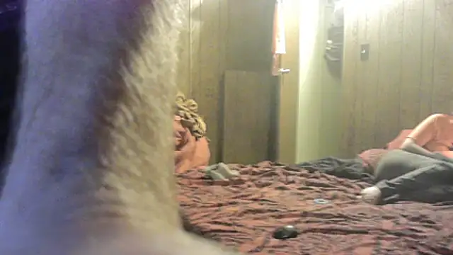 dcockell online show from February 19, 2026, 8:11 am