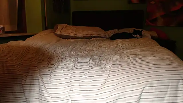 Snapshot of MASTERBULLY chatting on February 19, 2025, 11:36 pm MASTERBULLY online show from February 19, 2025, 11:36 pm