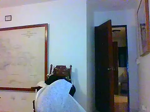 tumarditoperro online show from September 13, 2025, 9:31 am