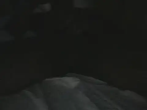 tumarditoperro online show from December 30, 2024, 10:01 pm