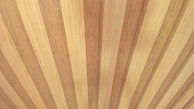 Taylor  cooper online show from March 18, 2026, 6:42 pm