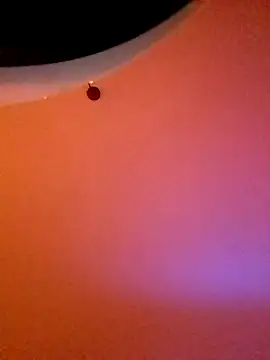 Snapshot of Maharajata1234 chatting on December 14, 2024, 11:23 pm Maharajata1234 online show from December 14, 2024, 11:23 pm