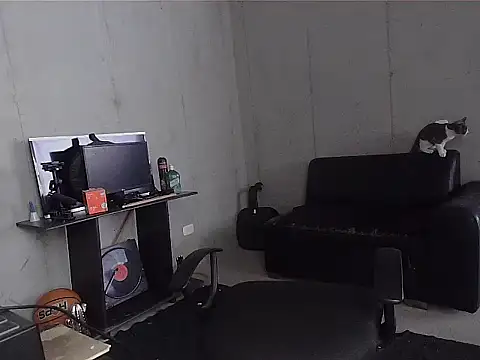 patrik tattoo  online show from April 7, 2026, 4:53 pm