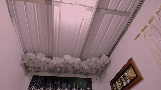 Lauu G online show from November 21, 2025, 2:21 am