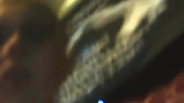 sexycockfiend777 online show from November 22, 2025, 1:21 pm