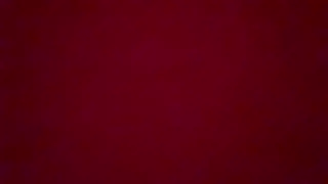 little fox alisa online show from March 4, 2025, 9:43 pm