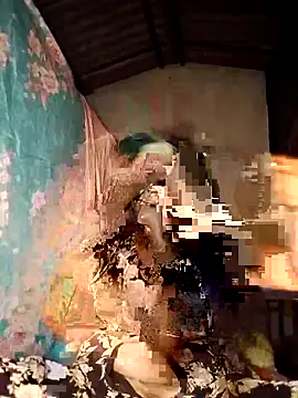 Snapshot of SL-WASI chatting on October 19, 2025, 5:05 pm SL-WASI online show from October 19, 2025, 5:05 pm