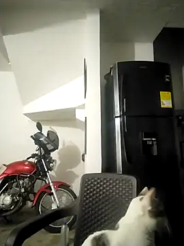 King russo online show from January 19, 2026, 5:44 am