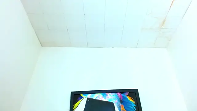 kevin  fox  online show from October 7, 2025, 7:04 pm