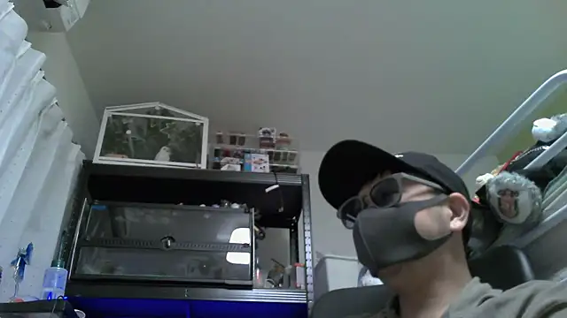 Snapshot of Owl1216 chatting on December 4, 2024, 2:42 pm Owl1216 online show from December 4, 2024, 2:42 pm