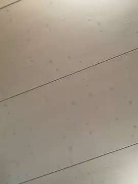 Snapshot of bonbonaumiel chatting on January 5, 2025, 1:15 pm bonbonaumiel online show from January 5, 2025, 1:15 pm