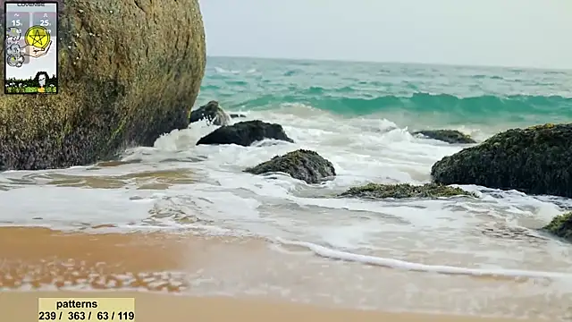 Snapshot of _sex_in_paradise_ chatting on January 24, 2025, 11:12 pm sex in paradise online show from January 24, 2025, 11:12 pm