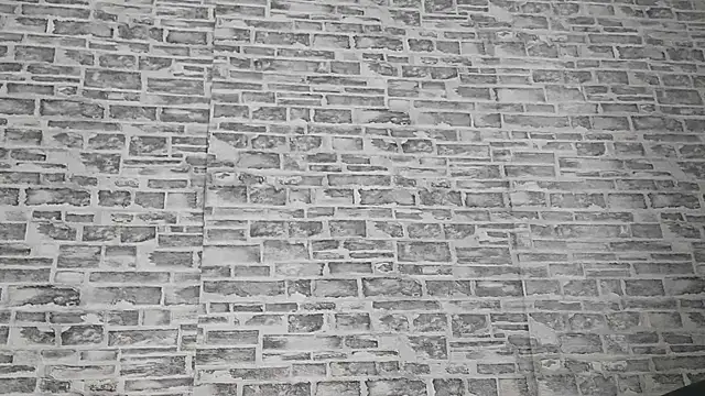 Snapshot of EdithManning chatting on March 3, 2025, 6:09 am EdithManning online show from March 3, 2025, 6:09 am