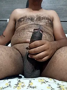 Jornaodaputaria online show from November 5, 2025, 6:11 pm