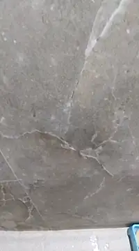 Snapshot of sudhastriper chatting on February 13, 2025, 10:00 pm sudhastriper online show from February 13, 2025, 10:00 pm