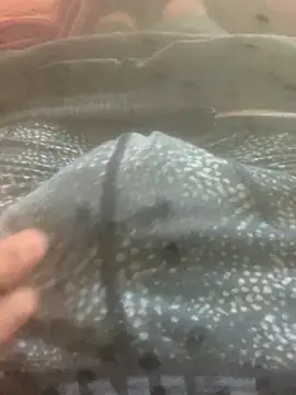 Snapshot of solomec chatting on October 12, 2025, 7:43 am solomec online show from October 12, 2025, 7:43 am