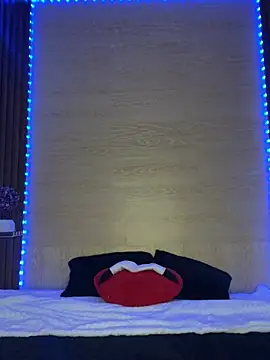 Snapshot of DandyWolf_ chatting on December 27, 2024, 1:50 pm DandyWolf online show from December 27, 2024, 1:50 pm